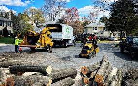 How Our Tree Care Process Works  in  Hays, MT